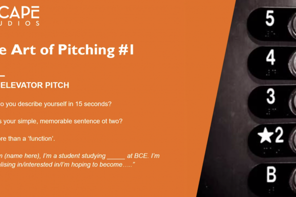 Virtual Careers Day Pitching